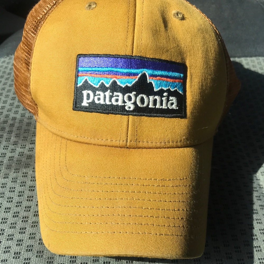 Patagonia trucker hat